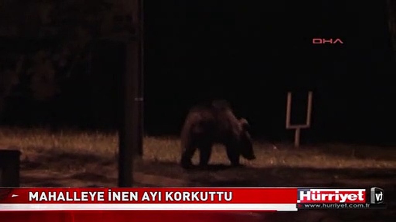 MAHALLEYE İNEN AYI KORKUTTU