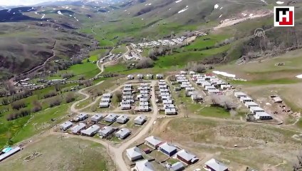 Bal arayan ayılar evlere zarar verdi