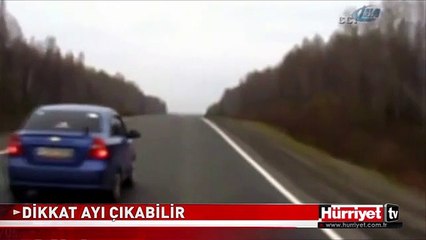 DİKKAT! ARABA SOLLAYABİLİR, AYI ÇIKABİLİR..