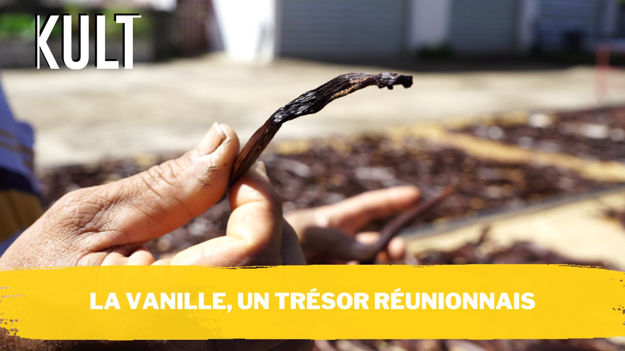 La vanille, un trésor réunionnais