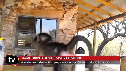 Yavru babunu görenler şaşırıyor