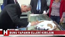 BUNU YAPANIN ELİ KIRILSIN! ÖN BACAKLARINI KESEREK ÖLÜME TERK ETTİLER