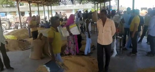 अरनोद मंडी में मिल रहे ऊंचे भाव