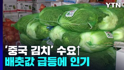 배춧값 급등에 '중국산' 포장김치 수요 증가 / YTN
