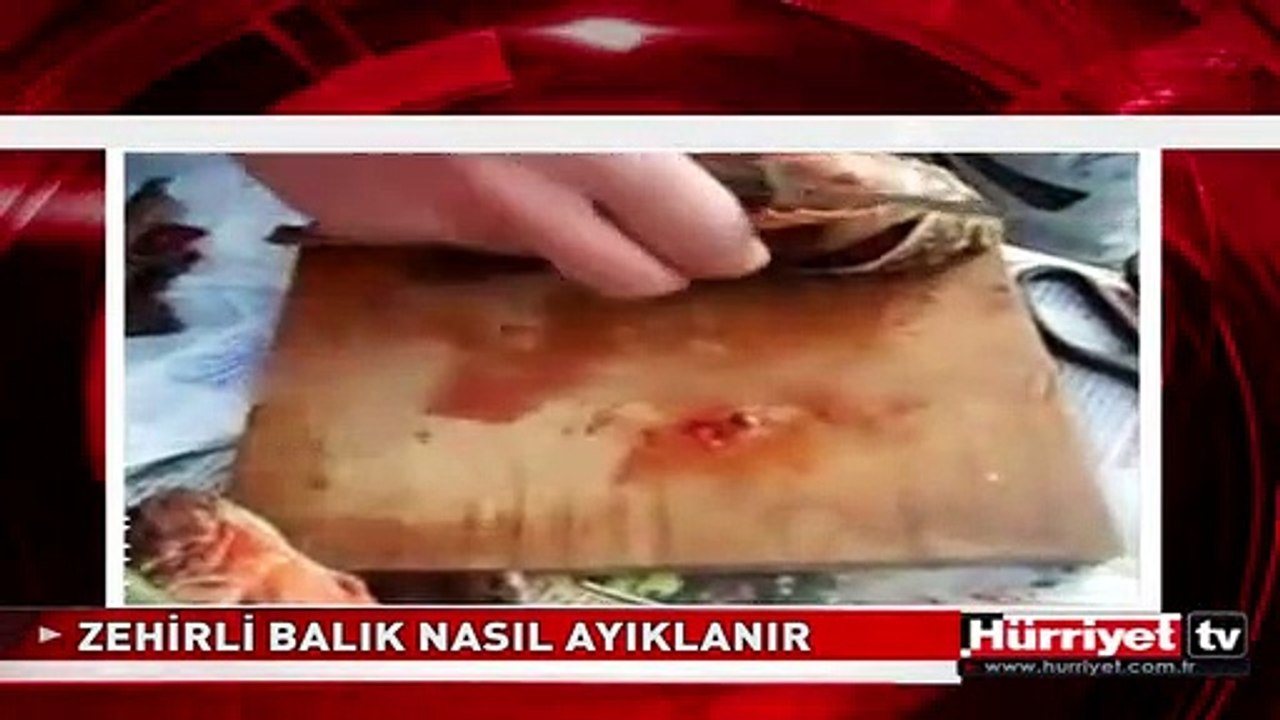 ZEHİRLİ BALIK NASIL TEMİZLENİR