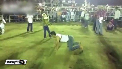 Baba oğluna böyle rodeo yaptırdı
