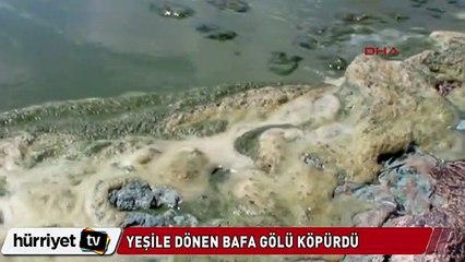 Yeşile dönen Bafa gölü köpürdü