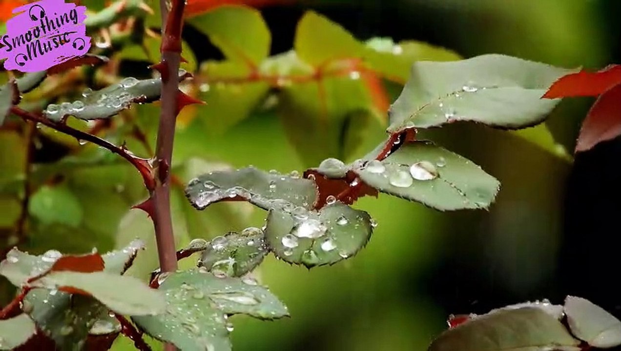 Calming Piano Music with Rain & Thunder Sounds for Sleep or Relaxing • "Rainy Day"