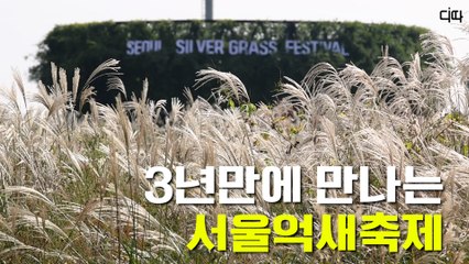 3년만에 만나는 서울억새축제(Seoul Silver Grass Festival) / 디따