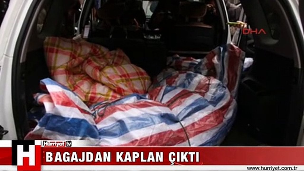 BAGAJDAN KAPLAN ÇIKTI