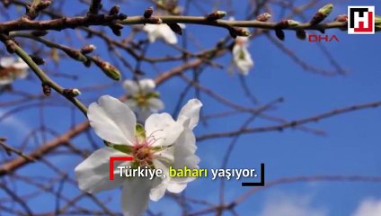 Türkiye baharı yaşıyor