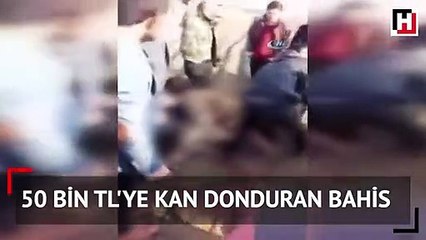 50 bin TL'ye kan donduran bahis