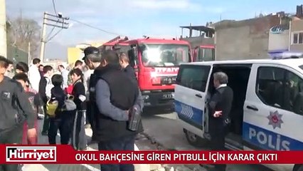 Okulda çocukları korkutan Pitbull için karar verildi