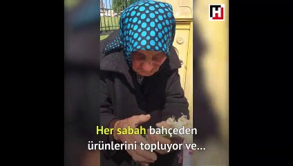 95 yaşında, ekmeğinin peşinde bir eski toprak!