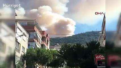 Son dakika haberi: İzmir'de orman yangını paniği