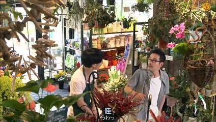 日劇 » 植物男子陽臺星人 第1季10