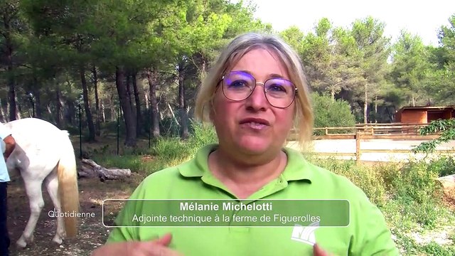 Martigues : la médiation équine pour une bonne santé mentale