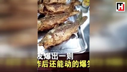 Akşam yemeği için sipariş ettiği balık tabağın içinde canlı olarak geldi!