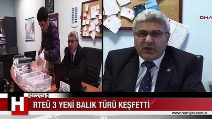 RTEÜ 3 YENİ BALIK TÜRÜ KEŞFETTİ EMİNEAE, RECEPİ, VELİOGLUİ