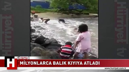 FELAKET Mİ? BEREKET Mİ? MİLYONLARCA BALIK KIYIYA ATLADI