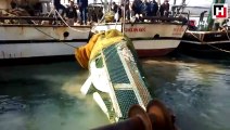 Mersin'de balık ağına yat takıldı