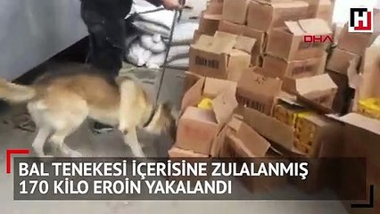 Bal tenekesinden çıkanlar şoke etti