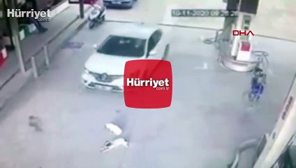 Otomobilin 2 köpeği ezdiği an kamerada