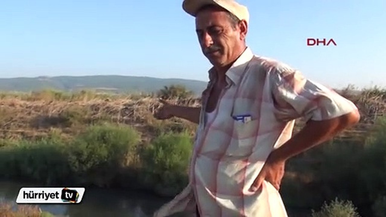 İzmir Bakırçay'da toplu balık ölümleri korkuttu