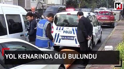 Yol kenarında ölü bulundu