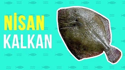 Hangi ay hangi balık yenir?