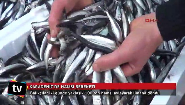 Karadeniz'de hamsi bolluğu