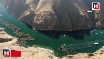 Elazığ'da üretilen 'Alabalık' ve 'Somon'da hedefe ulaşıldı