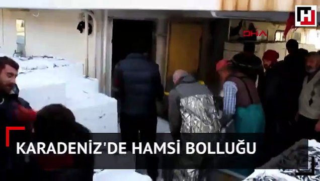 Karadeniz'de hamsi bolluğu