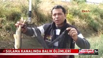 SU ÇEKİLİNCE GERÇEK ORTAYA ÇIKTI