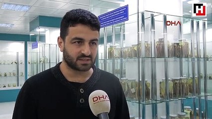 Rize'de, dünya bilim literatüre girmemiş balık türü keşfedildi