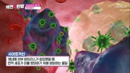 만성피로와 만병의 원인이 되는 내 몸속 염증 TV CHOSUN 20221014 방송