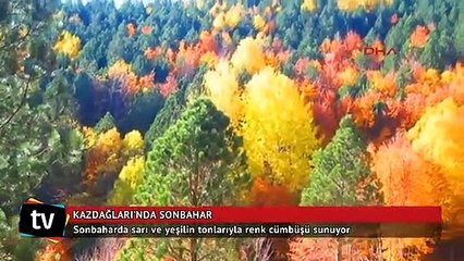 Kazdağları'nda sonbaharda renk cümbüşü