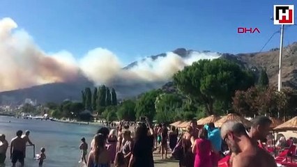 Marmara Adası'nda orman yangını