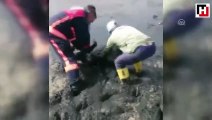 Baraj gölünde çamurun içinde buldular...