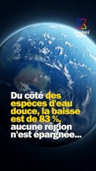 69% des animaux vertébrés ont disparu en 50 ans...