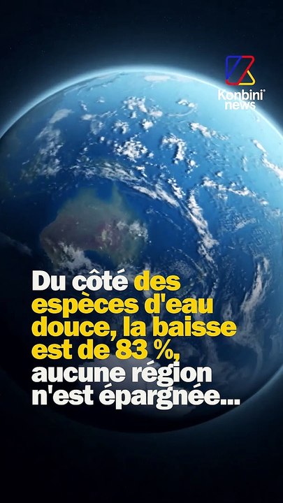69% des animaux vertébrés ont disparu en 50 ans...