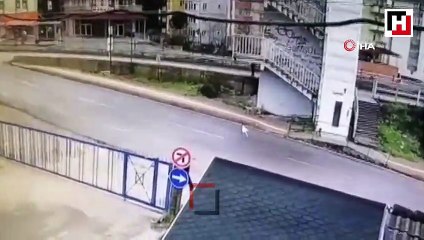 Otomobilin yavru köpeği ezme anı kamerada