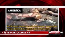 YILANIN KOPUK BAŞI KENDİ BEDENİNİ SOKTU
