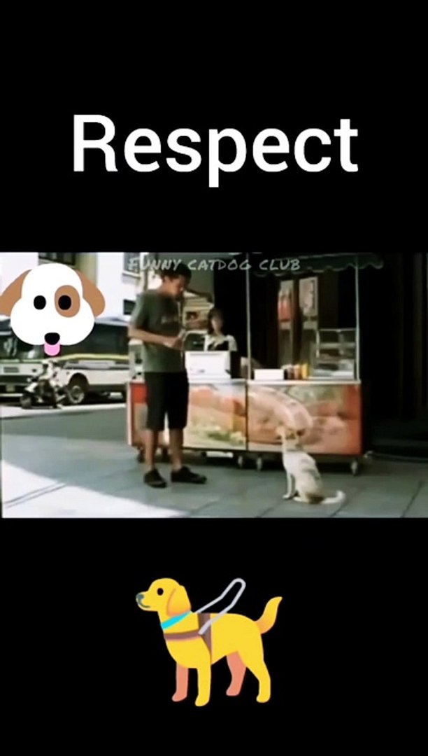 RESPECT ANIMALS AND HELP THE ANIMALS