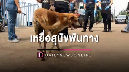 หนูน้อย 7 ขวบเหยื่อสุนัขพันทางขย้ำสาหัส หมอเย็บแผลกว่า 300 เข็ม | HOTSHOT เดลินิวส์ 14/10/65