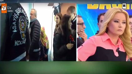 Palu ailesine baskın