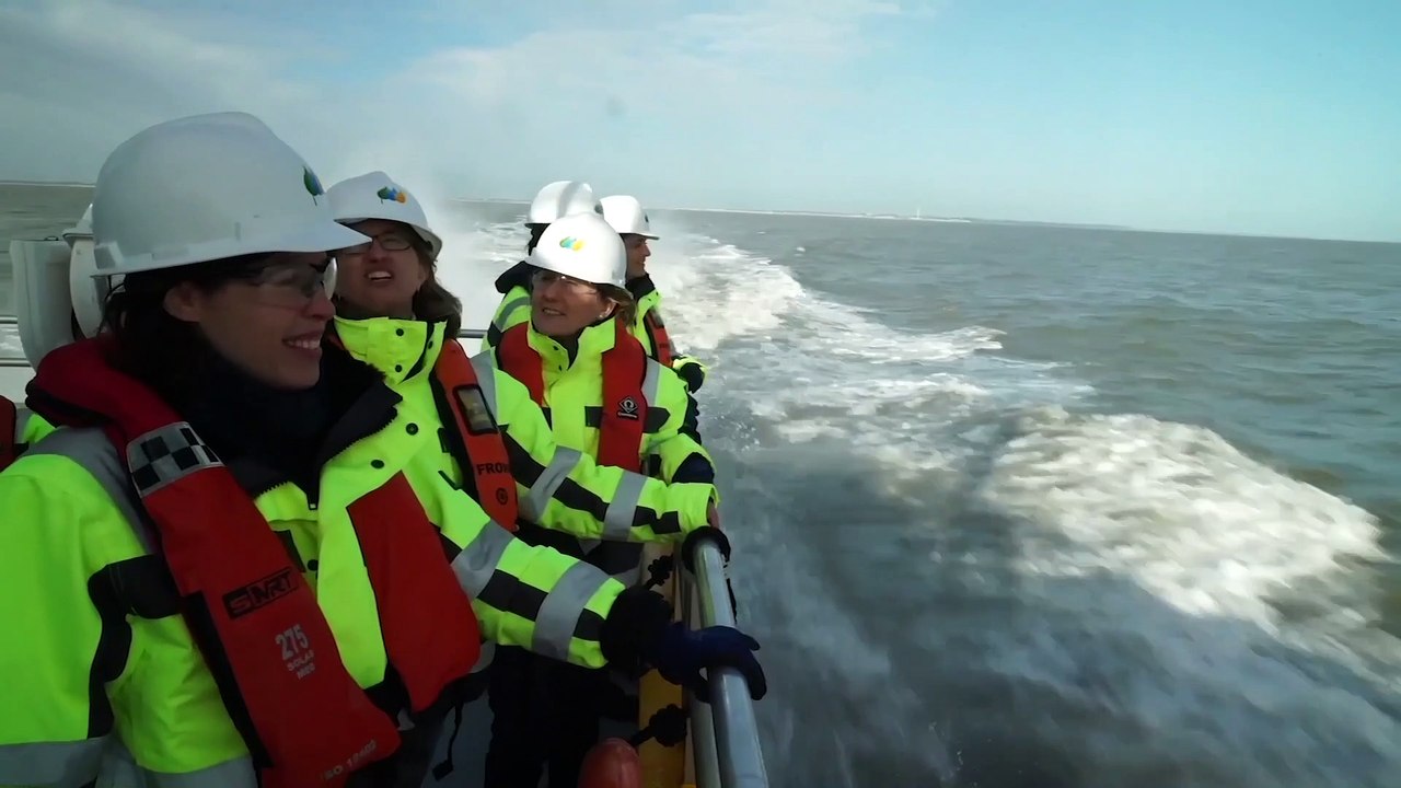 Iberdrola Parque eólico marino