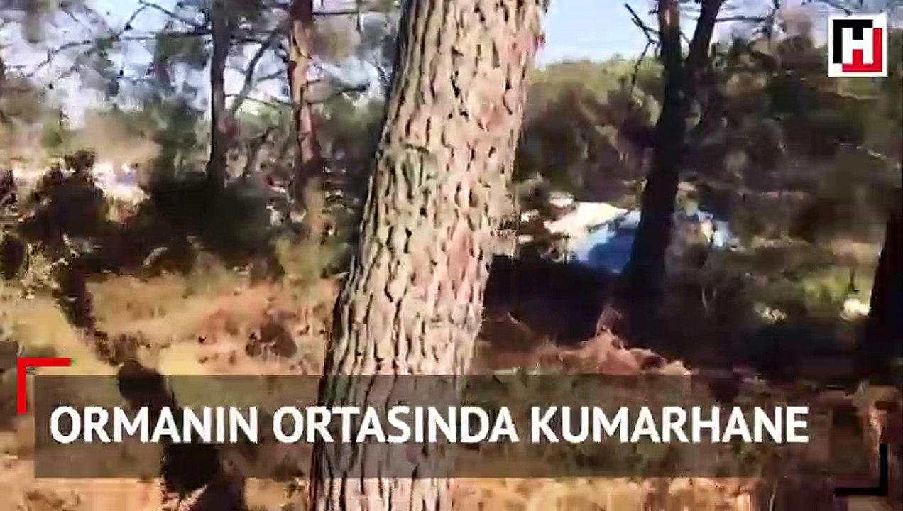 Ormanın ortasında kumarhane