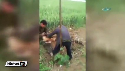 Yavuz hırsız ev sahibini bastırdı