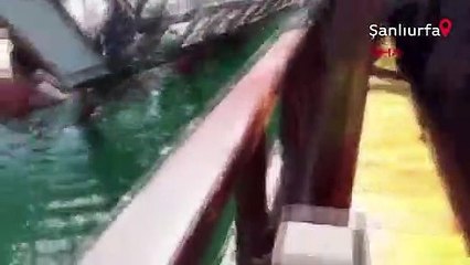 Birecik Barajı'nda batan tur teknesinden yeni görüntüler